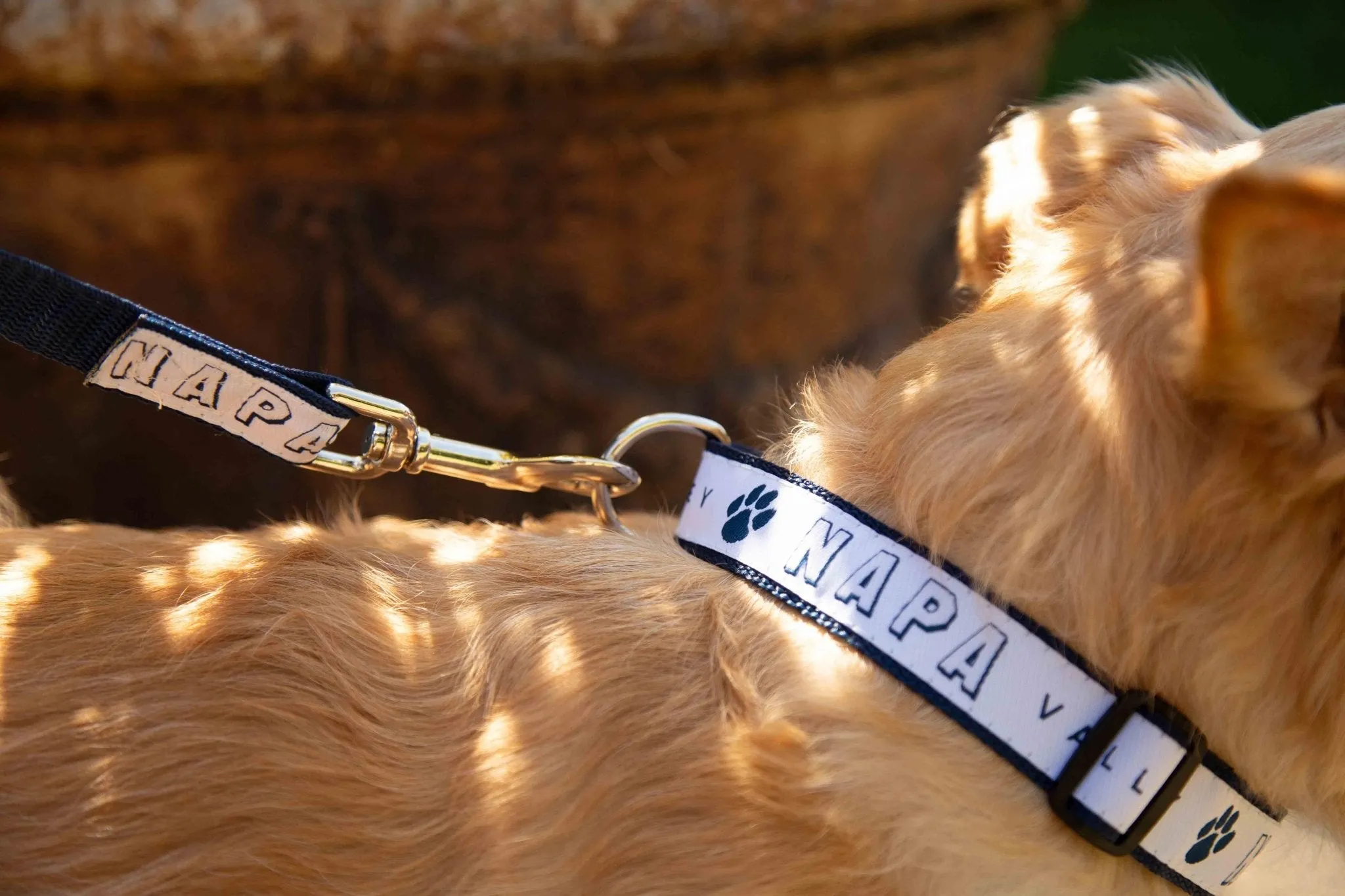 1" Dog Collar Printed with a Customizable BLOCK SPORT COLLECTION Design