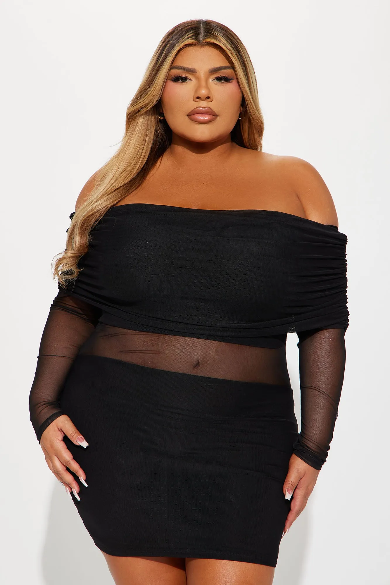 Raveena Mesh Mini Dress - Black